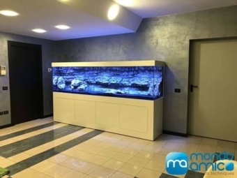 FB_IMG_1581866865643