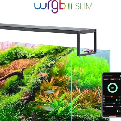 81AgpnlYgvL._AC_SX679_