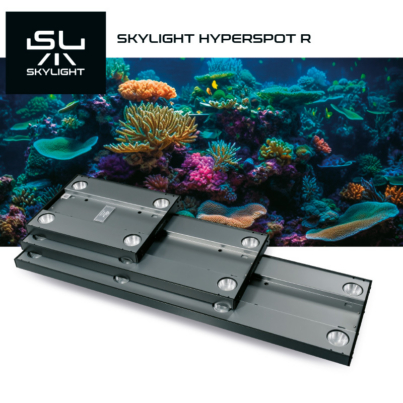 SKYLIGHT_HYPERSPOT-R-002