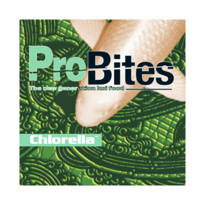 sinking-39kg-probites-chorella- (1)